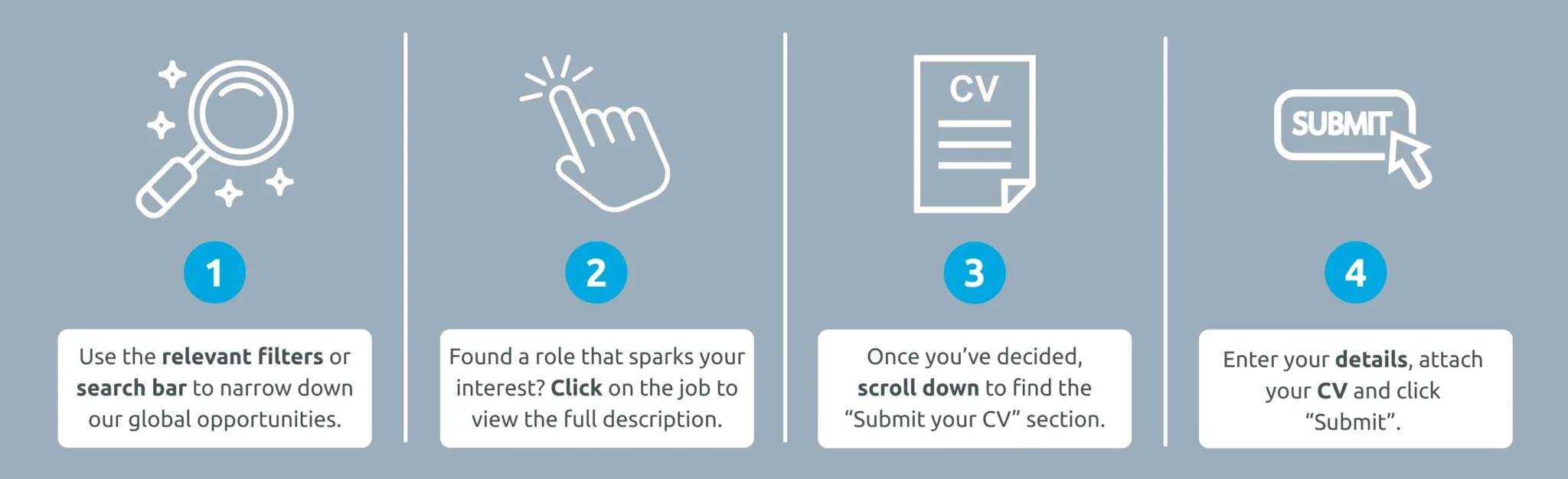 Job-Search-Infographic-1-2048x625